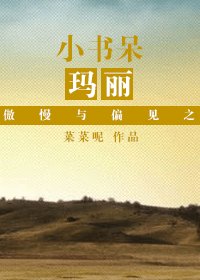 (傲慢与偏见同人)傲慢与偏见之小书呆玛丽