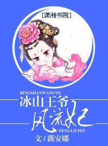 冰山王爷风流妃