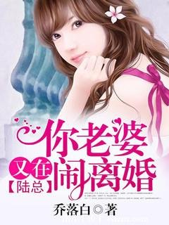 陆总,你老婆又在闹离婚
