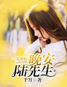 一宠成瘾:晚安,陆先生