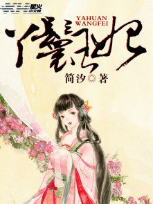 丫鬟王妃
