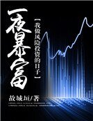 一夜暴富:我做风险投资的日子