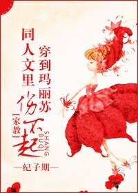 (家教同人)穿到玛丽苏同人文里伤不起