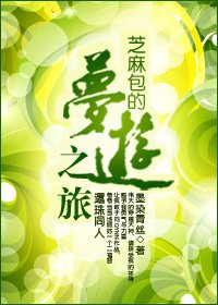 (琼瑶同人)还珠之芝麻包的梦游之旅