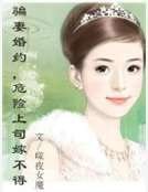 骗妻婚约,危险上司嫁不得