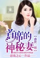 盛世二婚,总裁的神秘妻