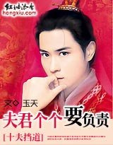 十夫挡道:夫君个个要负责