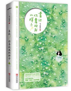 喜欢你喜欢我的样子(出书版)