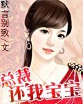 总裁,还我宝宝