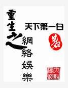 重生之网络娱乐
