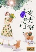 七零忍光正好