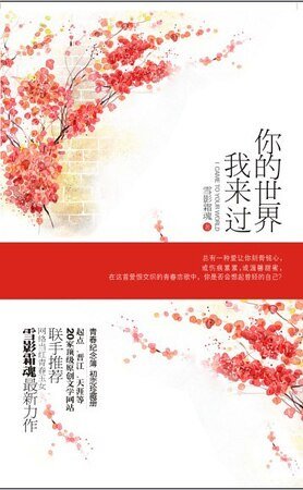 你的世界我来过(出书版)