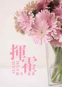 挥霍(网络版)