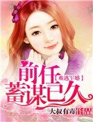 诱妻成婚:前任蓄谋已久