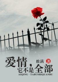 爱情,它不是全部