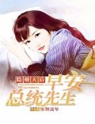 隐婚天后:早安总统先生