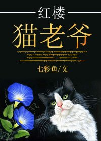 (BG-红楼梦同人)红楼猫老爷