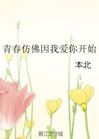 青春仿佛因我爱你开始
