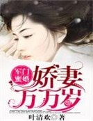 军门蜜婚:娇妻万万岁