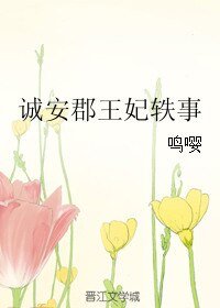 诚安郡王妃轶事