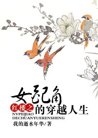 【BG-红楼同人】红楼之女配角的穿越人生
