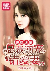 脱轨迷情:总裁溺宠错爱妻