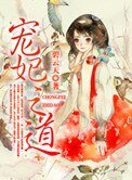 宠妃之道