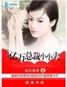 亿万总裁小小妻