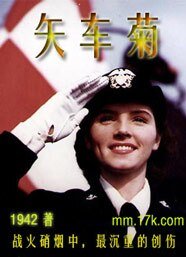 矢车菊【征文】