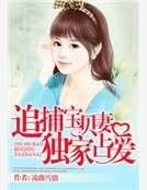 追捕宝贝妻:独家占爱