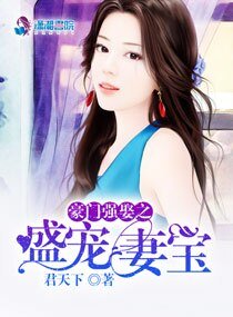 豪门强娶之盛宠妻宝