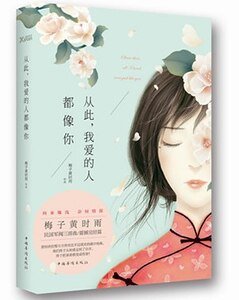 从此,我爱的人都像你-此爱成殇