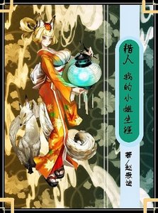 (猎人同人)我的小姐生涯