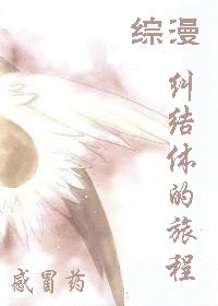 (综漫同人)纠结体的旅程