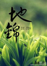 (BL/瓶邪同人)地锦