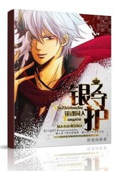 (BL/银魂同人)银之守护
