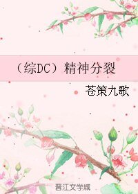 (综DC同人)(综DC)精神分裂