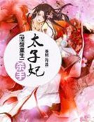 涅槃重生:杀手太子妃
