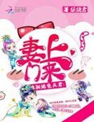 妻上门来:难驯绝色夫君