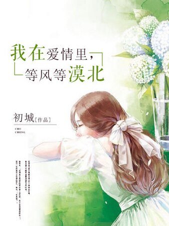 我在爱情里,等风等漠北