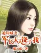 通缉贼妻:军长大人饶了我