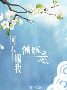 何不赐我倾城意