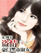 豪门黑市淑女:盗情