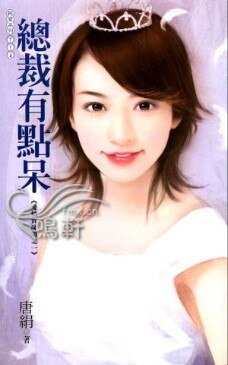 总裁有点呆(爱情赏味期系列之一)