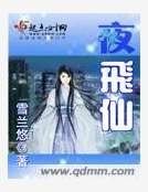夜飞仙