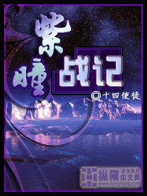 紫瞳战记