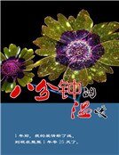 八分钟的温暖
