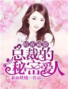 暗夜藏娇:总裁的秘密爱人