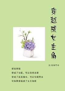 (综影视同人)穿越成女主角(快)