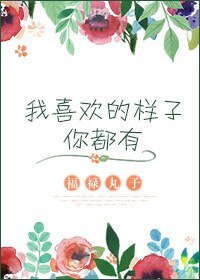 我喜欢的样子你都有(网络版)